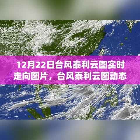 台风泰利云图动态监测与深度分析的综合体验,实时走向图片追踪系统报道