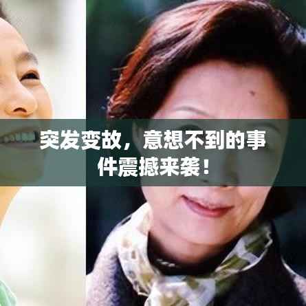 寥若晨星 第2页
