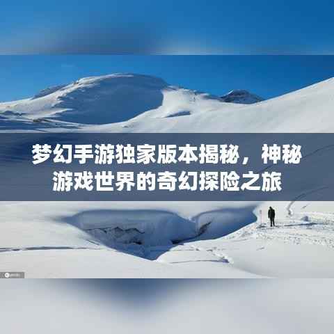 梦幻手游独家版本揭秘,神秘游戏世界的奇幻探险之旅