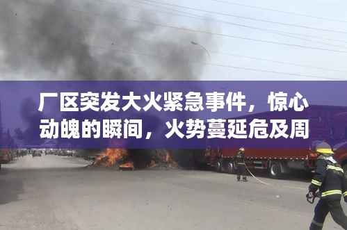 莺啼鸟啭 第3页