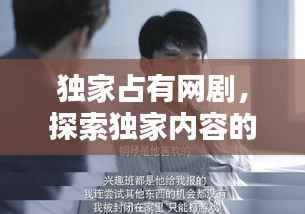 独家占有网剧,探索独家内容的崛起与影响力冲击