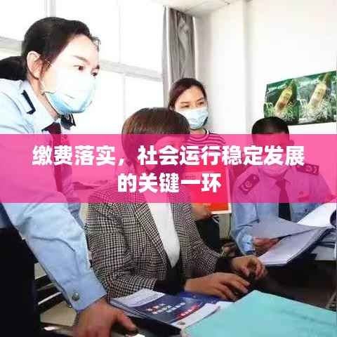 缴费落实,社会运行稳定发展的关键一环