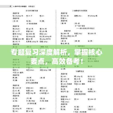专题复习深度解析,掌握核心要点,高效备考!