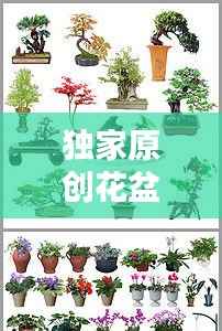抛砖引玉 第2页