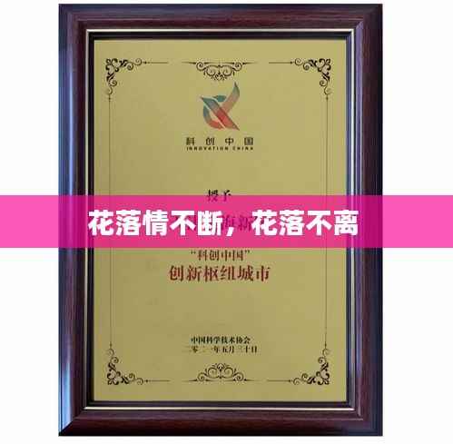 花落情不断，花落不离 