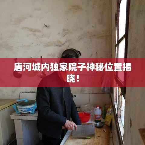 张灯挂彩 第2页