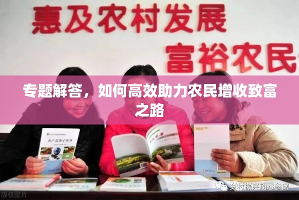 专题解答,如何高效助力农民增收致富之路