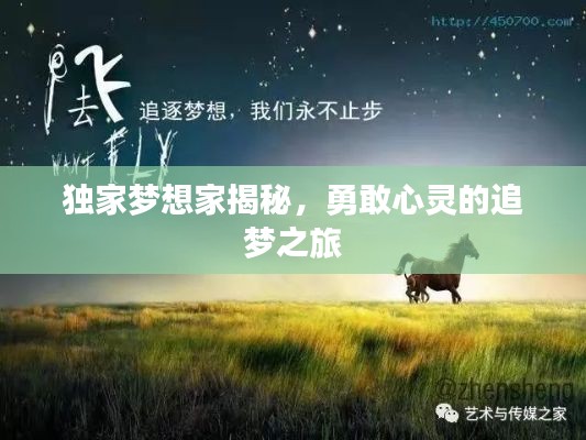 独家梦想家揭秘,勇敢心灵的追梦之旅