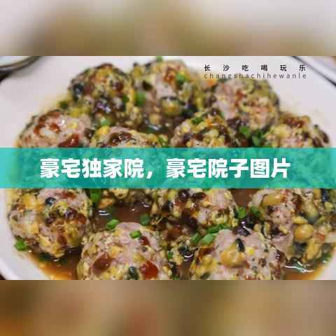 豪宅独家院,豪宅院子图片