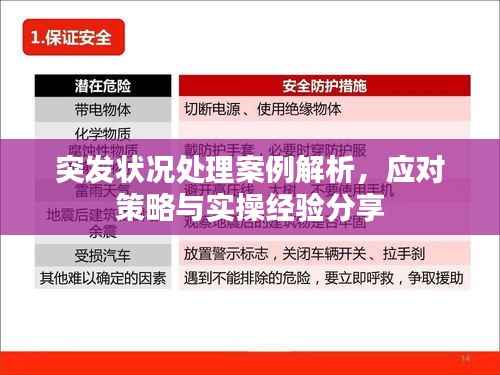突发状况处理案例解析,应对策略与实操经验分享