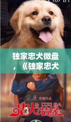 独家忠犬微盘,《独家忠犬》