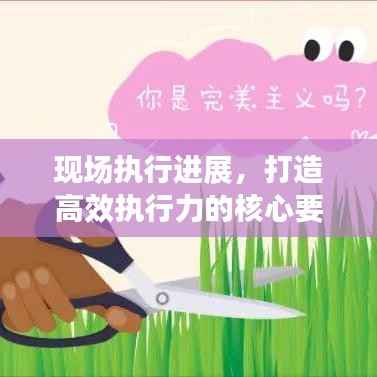 现场执行进展,打造高效执行力的核心要素揭秘!