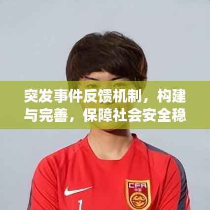 坌鸟先飞 第2页