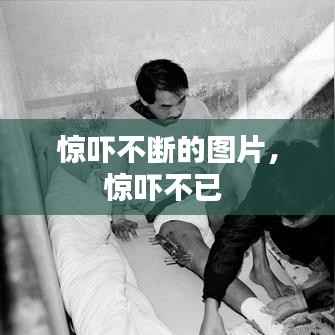 惊吓不断的图片,惊吓不已