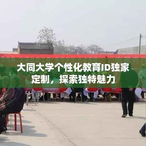 大同大学个性化教育ID独家定制,探索独特魅力