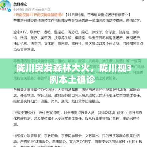 陇川突发森林大火,陇川现3例本土确诊