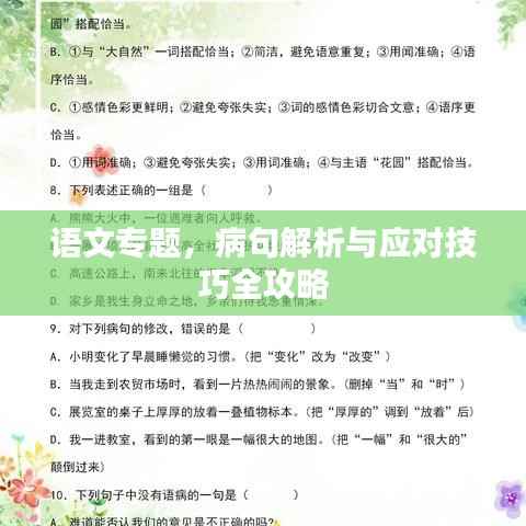 语文专题,病句解析与应对技巧全攻略