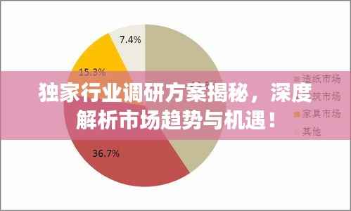 独家行业调研方案揭秘,深度解析市场趋势与机遇!