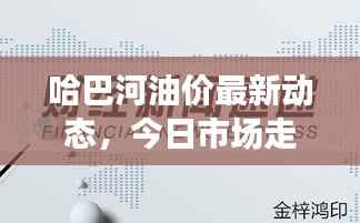 哈巴河油价最新动态,今日市场走势及影响因素深度解析