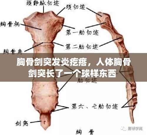 欣喜若狂 第2页