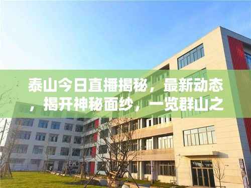 联系我们 第161页