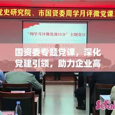 国资委专题党课,深化党建引领,助力企业高质量发展之路