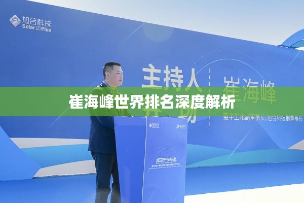 崔海峰世界排名深度解析