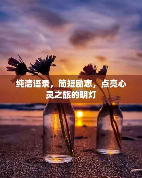 纯洁语录,简短励志,点亮心灵之旅的明灯