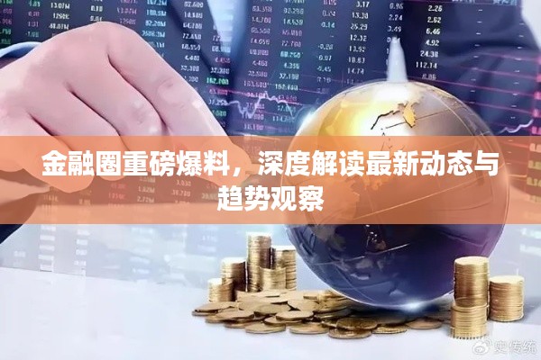 金融圈重磅爆料,深度解读最新动态与趋势观察