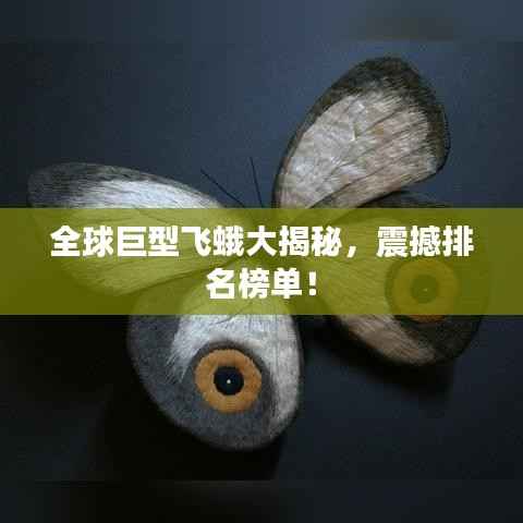 全球巨型飞蛾大揭秘,震撼排名榜单!
