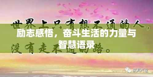 励志感悟,奋斗生活的力量与智慧语录