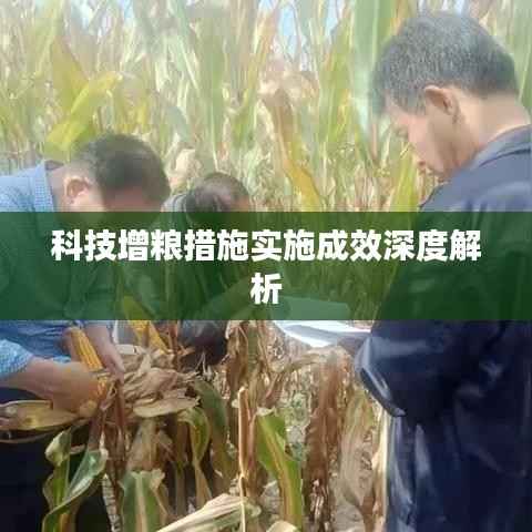 科技增粮措施实施成效深度解析