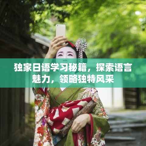 独家日语学习秘籍,探索语言魅力,领略独特风采