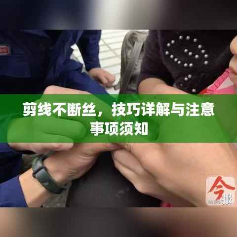 剪线不断丝，技巧详解与注意事项须知