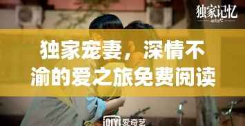 独家宠妻,深情不渝的爱之旅免费阅读全本