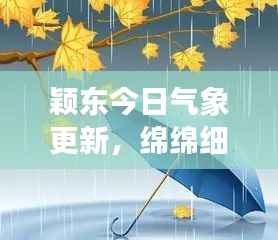 颖东今日气象更新,绵绵细雨背后的全面解析