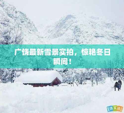 广饶最新雪景实拍,惊艳冬日瞬间!