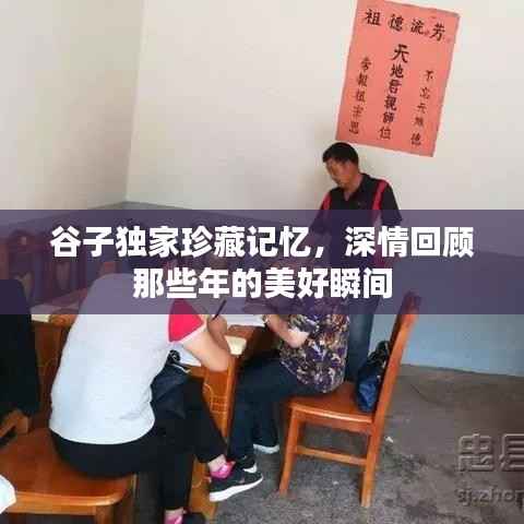 谷子独家珍藏记忆,深情回顾那些年的美好瞬间