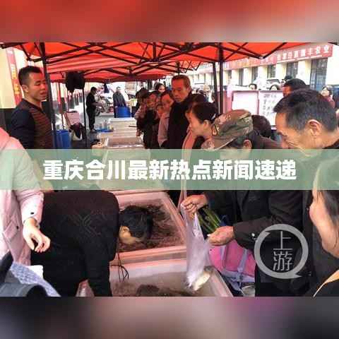 重庆合川最新热点新闻速递