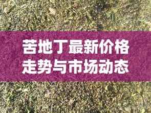 苦地丁最新价格走势与市场动态深度解析
