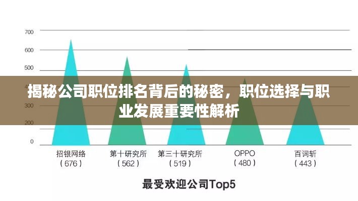 揭秘公司职位排名背后的秘密,职位选择与职业发展重要性解析
