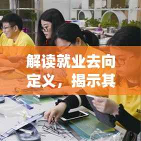 解读就业去向定义,揭示其重要性,助力职业规划发展!