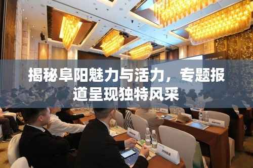 揭秘阜阳魅力与活力,专题报道呈现独特风采