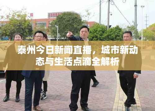 泰州今日新闻直播,城市新动态与生活点滴全解析