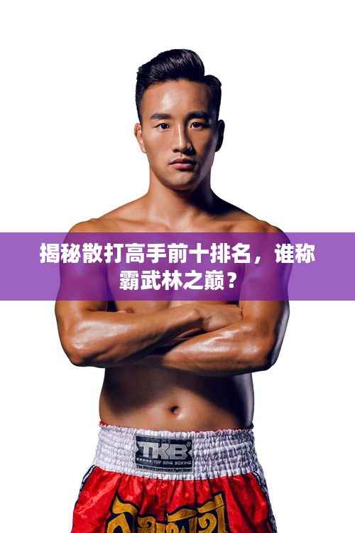 揭秘散打高手前十排名,谁称霸武林之巅?