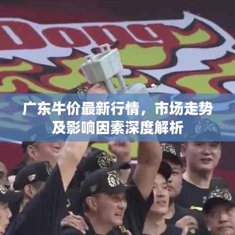 广东牛价最新行情,市场走势及影响因素深度解析