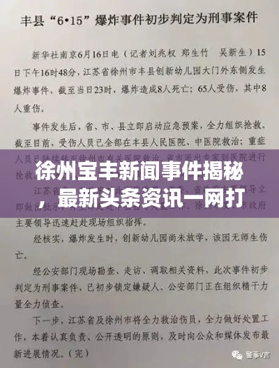 徐州宝丰新闻事件揭秘,最新头条资讯一网打尽