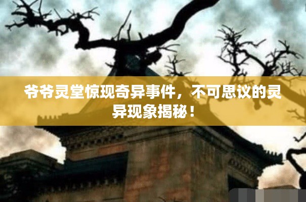 刚毅木讷 第2页