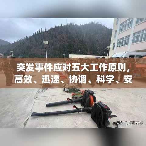 钗荆裙布 第2页