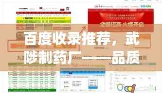 百度收录推荐,武陟制药厂——品质与实力的完美展现